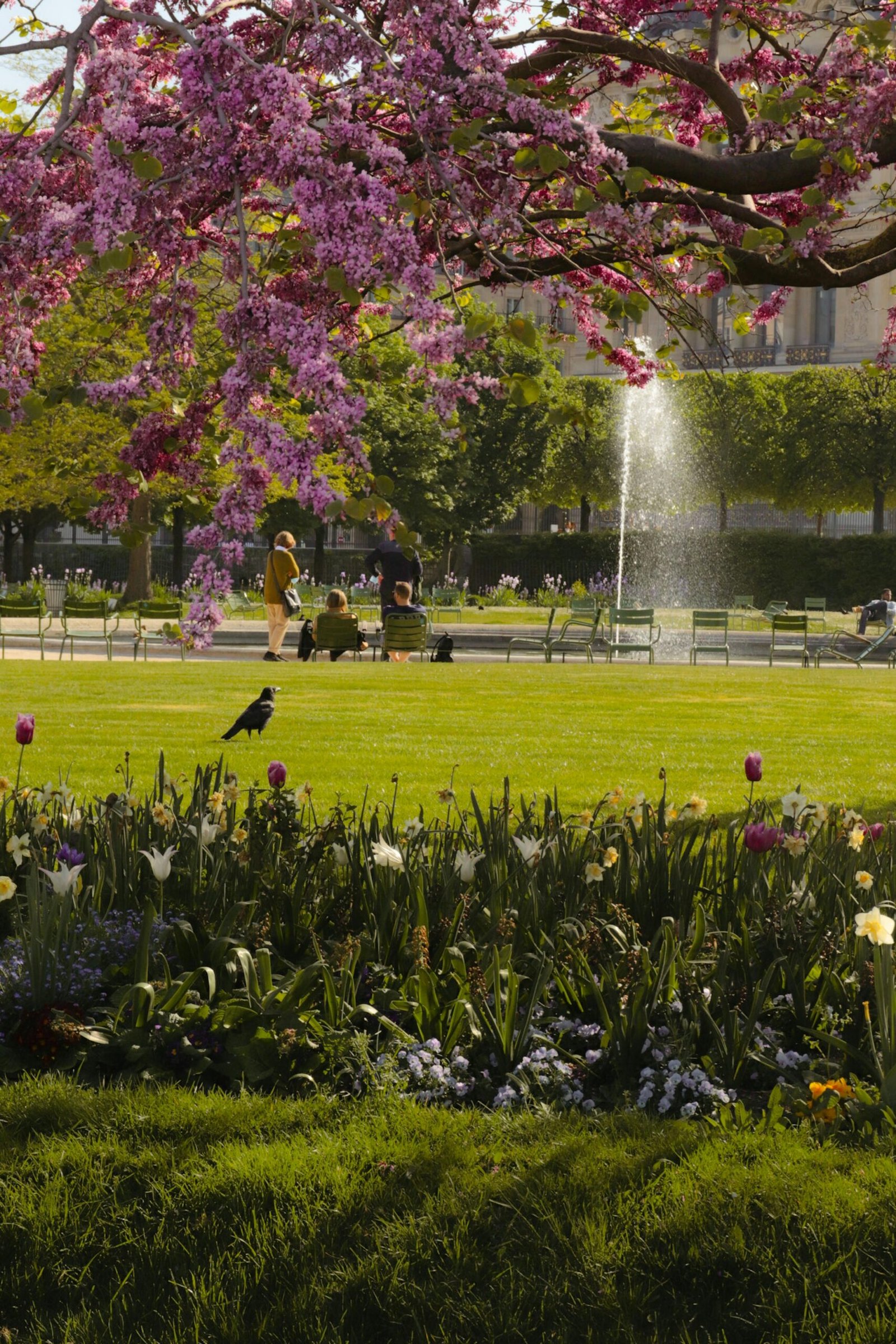 Anasayfa Experience the stunning spring bloom in a Paris park, featuring vibrant flowers and lush greenery.